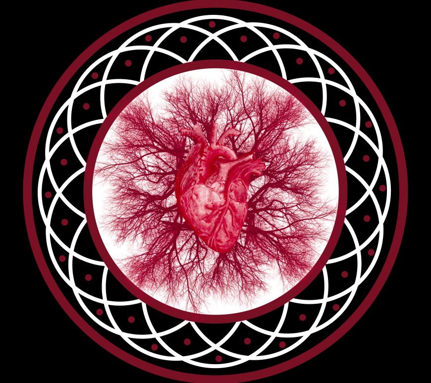 An anatomically accurate human heart sits upon blood red leafless trees encircled with a mandala.