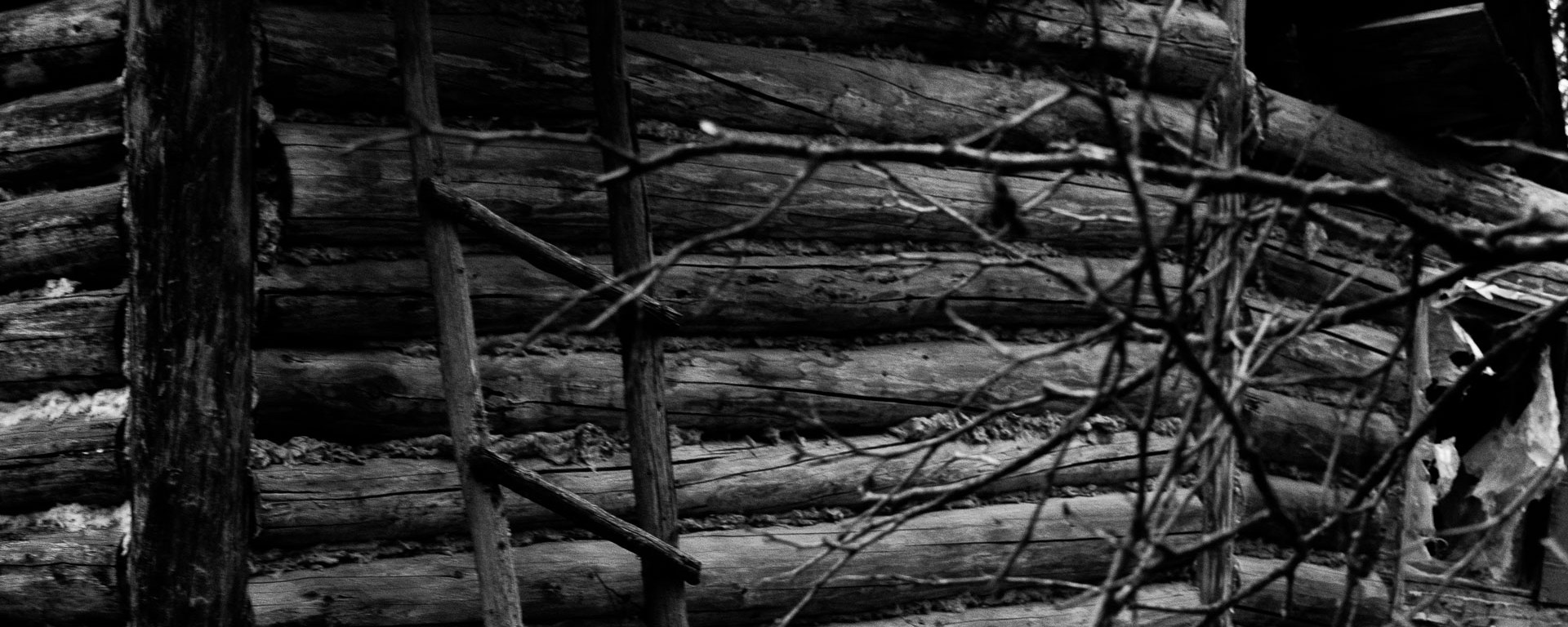 Abandoned log house decaying.