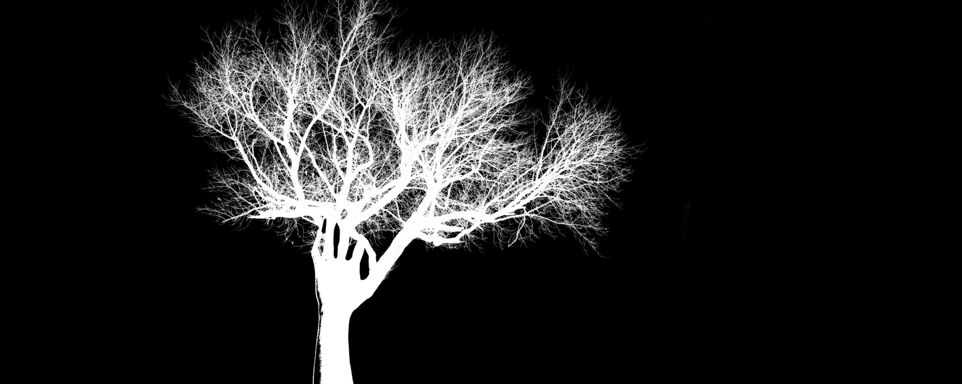 A human arm reaches out of the ground the fingers morph into a tree.