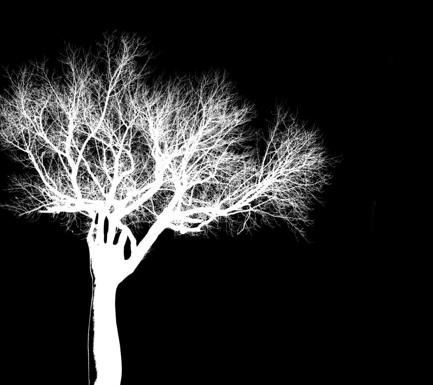 A human arm reaches out of the ground the fingers morph into a tree.