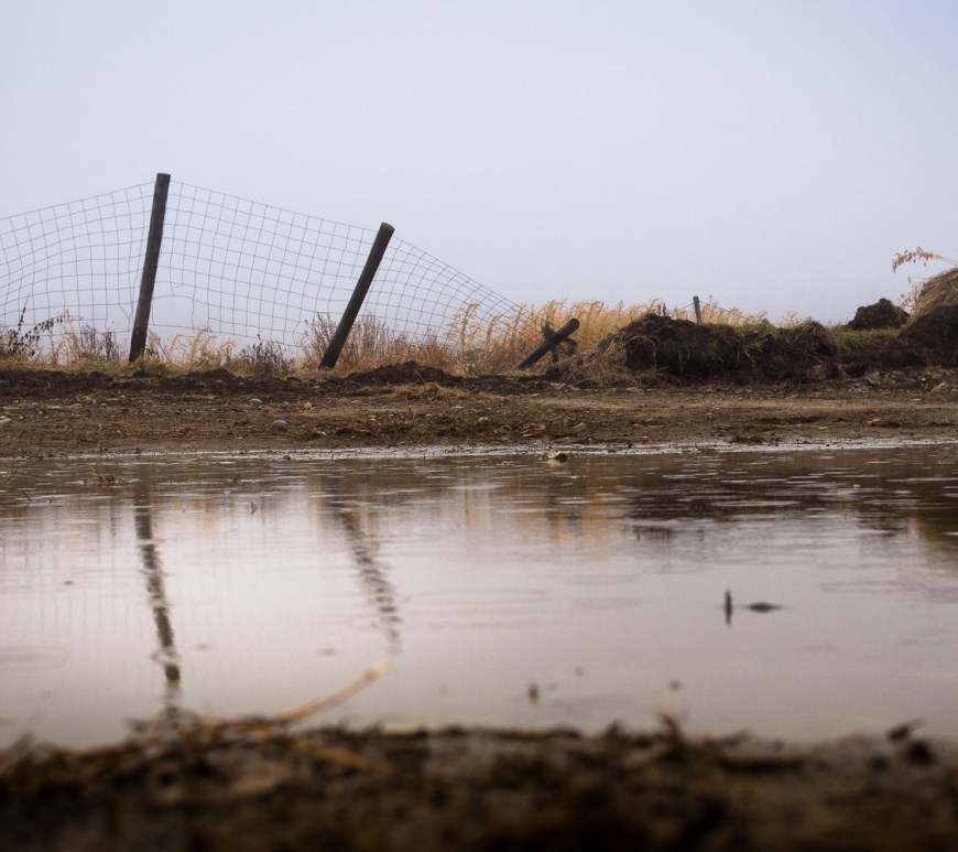 A page wire fence in a state of decay