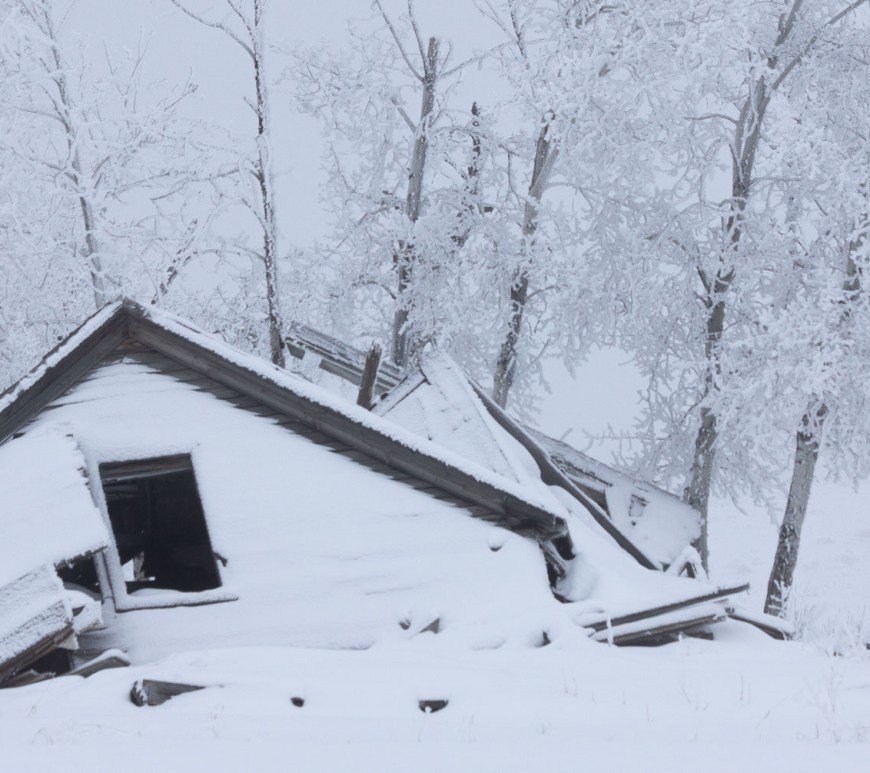 Collapsed abandoned building amid snowy trees