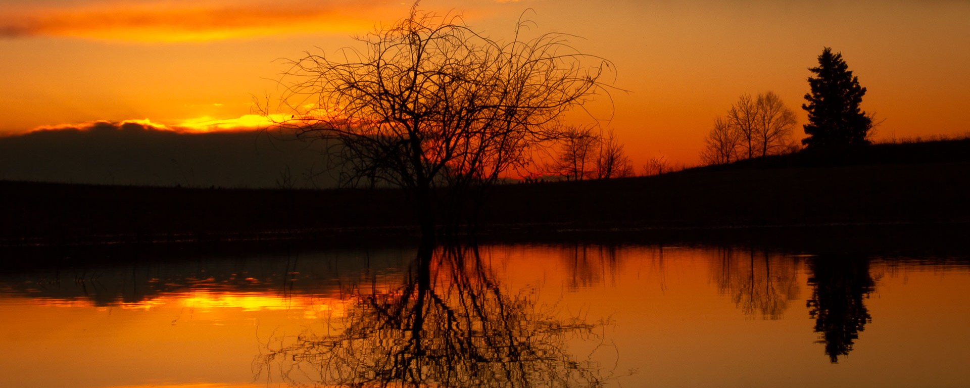 The sunsets behind trees and a pond.