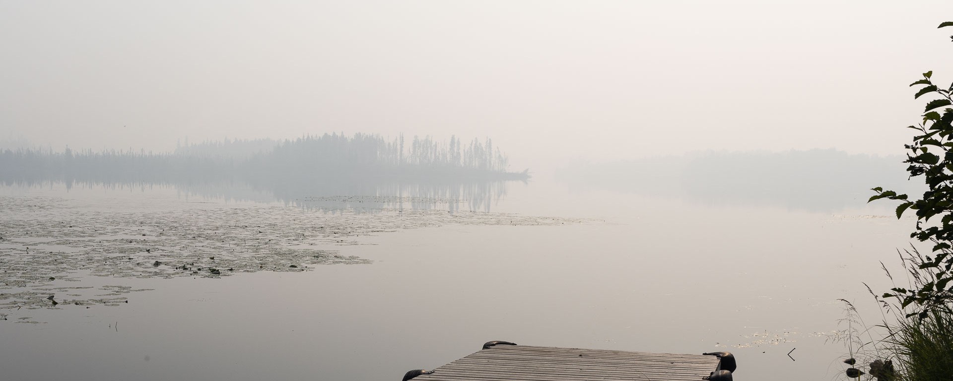 A thick fog covers the lake.