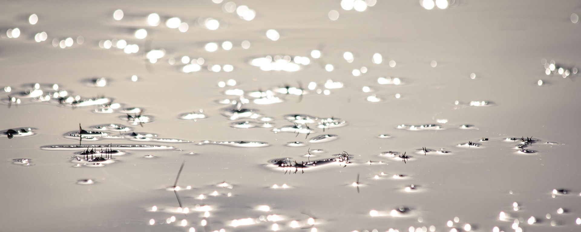 Sunset reflects off shallow waters.