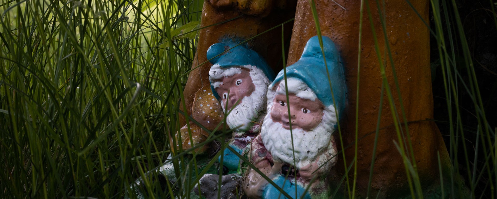 Two Gnomes hang out under mushroom cover.