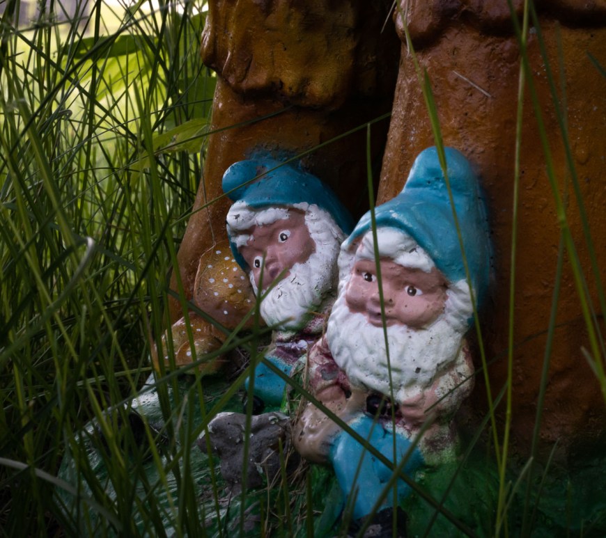 Two Gnomes hang out under mushroom cover.