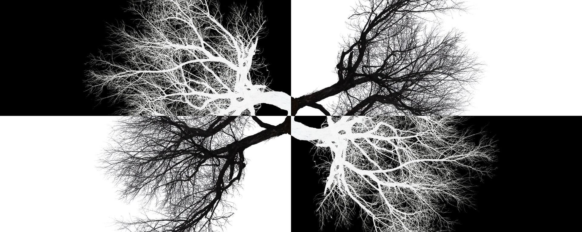 Opposites meet at infinity.