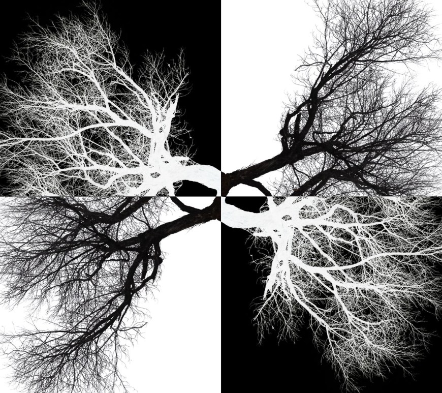 Opposites meet at infinity.